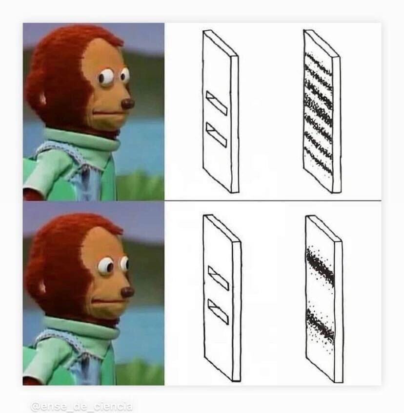 meme with bear looking away vs. looking that changes the results of the famous two slit light experiment.