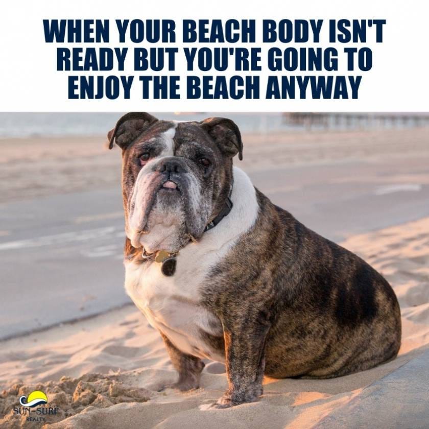 Funny Beach Memes That Will Make Your Day