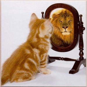 LionMirror