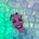 meli's avatar