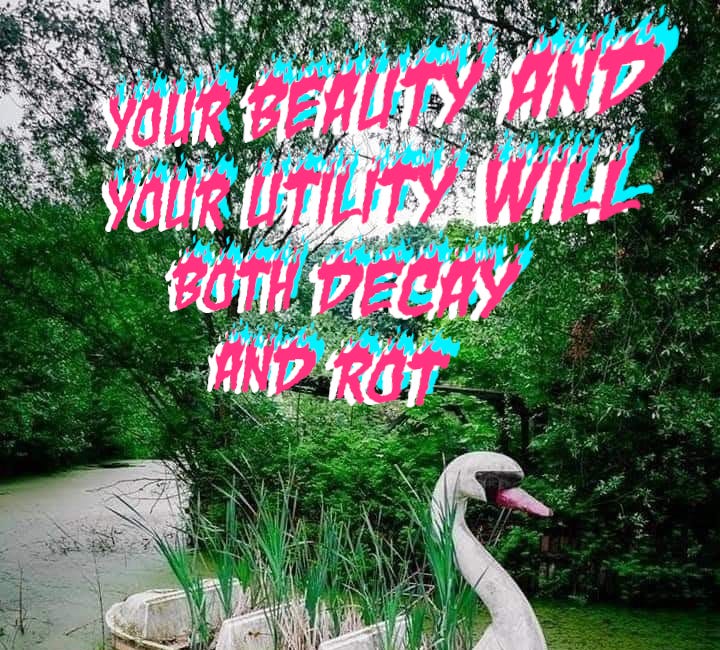 Invitation to the Autopsy: Specimen No. 8