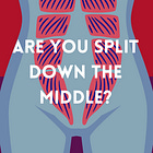 Are You Split Down The Middle?