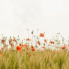 Navigating Life Beyond The Rate-Race