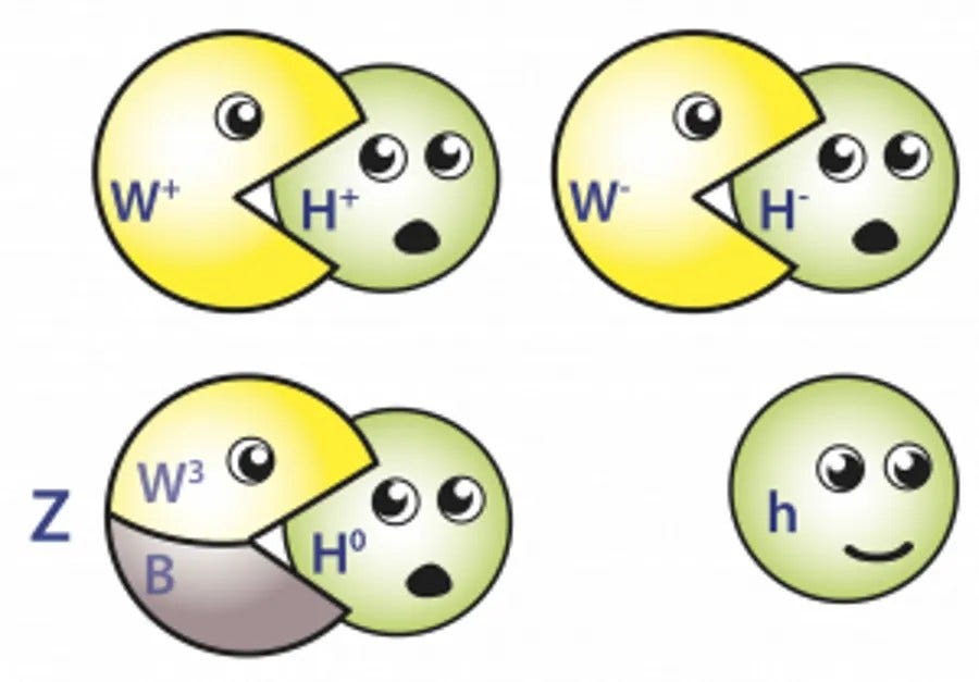 How the various standard model particles eat the broken higgs symmetry bosons to become the electromagnetic and weak bosons today