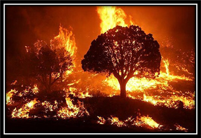 Wildfire - Wikipedia