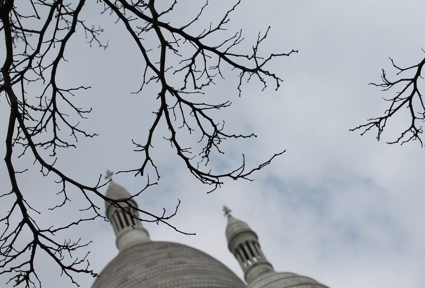 Foto che mostra i rami spogli di un albero e, in secondo piano e un po' fuori fuoco, le cupole della basilica del Sacro Cuore a Parigi