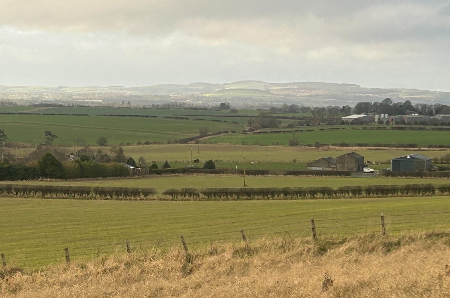 Image of countryside with fields in foreground and hills in background in colours of gold and green with hedgerows and trees dotted about