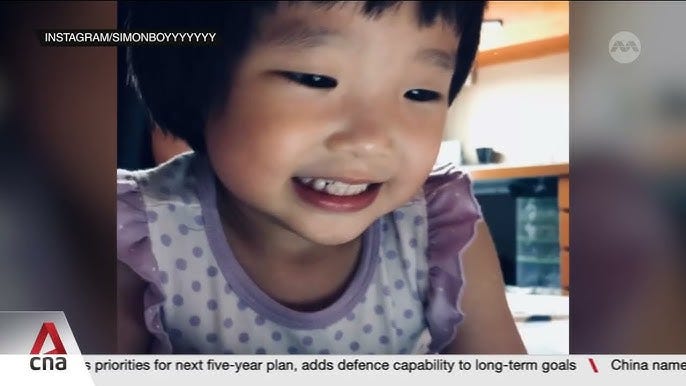 Review panel highlights gaps in how agencies handled Megan Khung abuse case