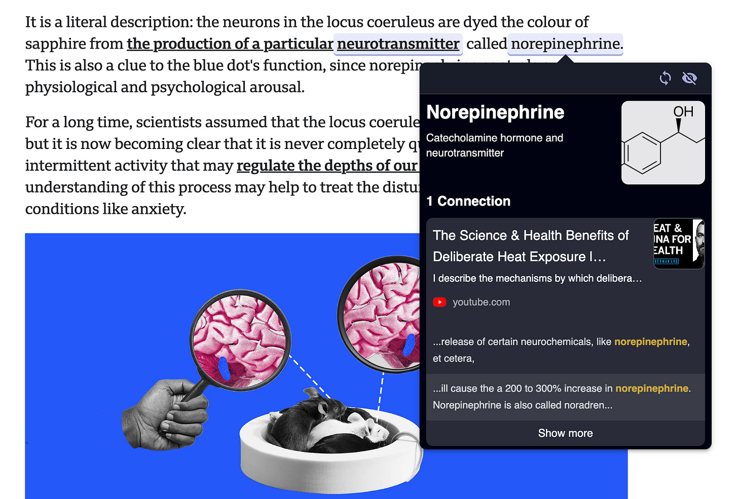 Recall's Augmented Browsing Feature