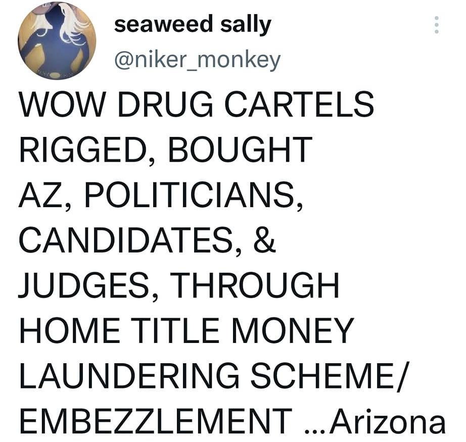 May be an image of text that says '7:25 MMX 45% 45% Tweet t7 You Retweeted seaweed sally @niker_monkey WOW DRUG CARTELS RIGGED, BOUGHT AZ, POLITICIANS, CANDIDATES, & JUDGES, THROUGH HOME TITLE MONEY LAUNDERING SCHEME/ EMBEZZLEMENT ...Arizona Legislation Joint Election Hearing Coverage- Thur 11:00 AM ET- Tweet your reply'