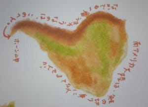 Map of South America resembling salted salmon; picture drawn by Noriko Morishita Map of South America resembling salted salmon; picture drawn by Noriko Morishita