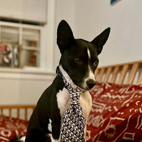 Contrarian Pet of the Week