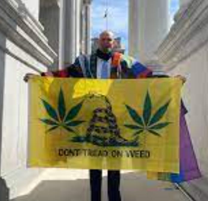 anncoulter.substack.com