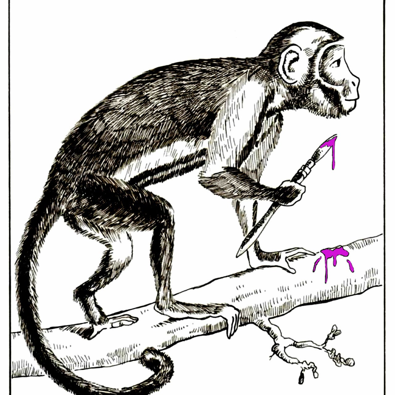 Home of the Paintmonkey