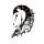 Punk Equestrian