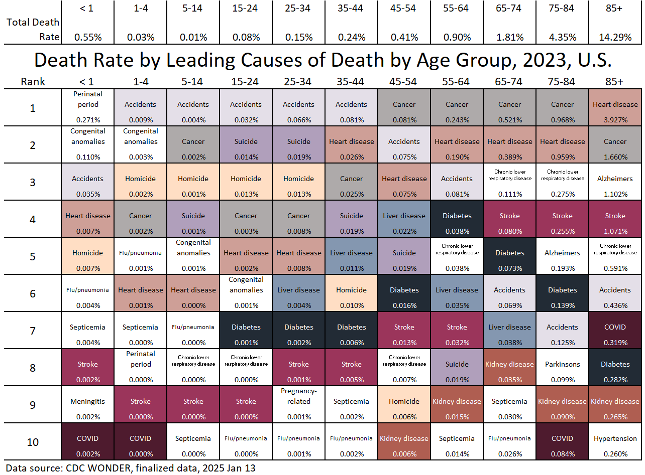 2023 U.S. Top Causes of Death by Age Group, Finalized