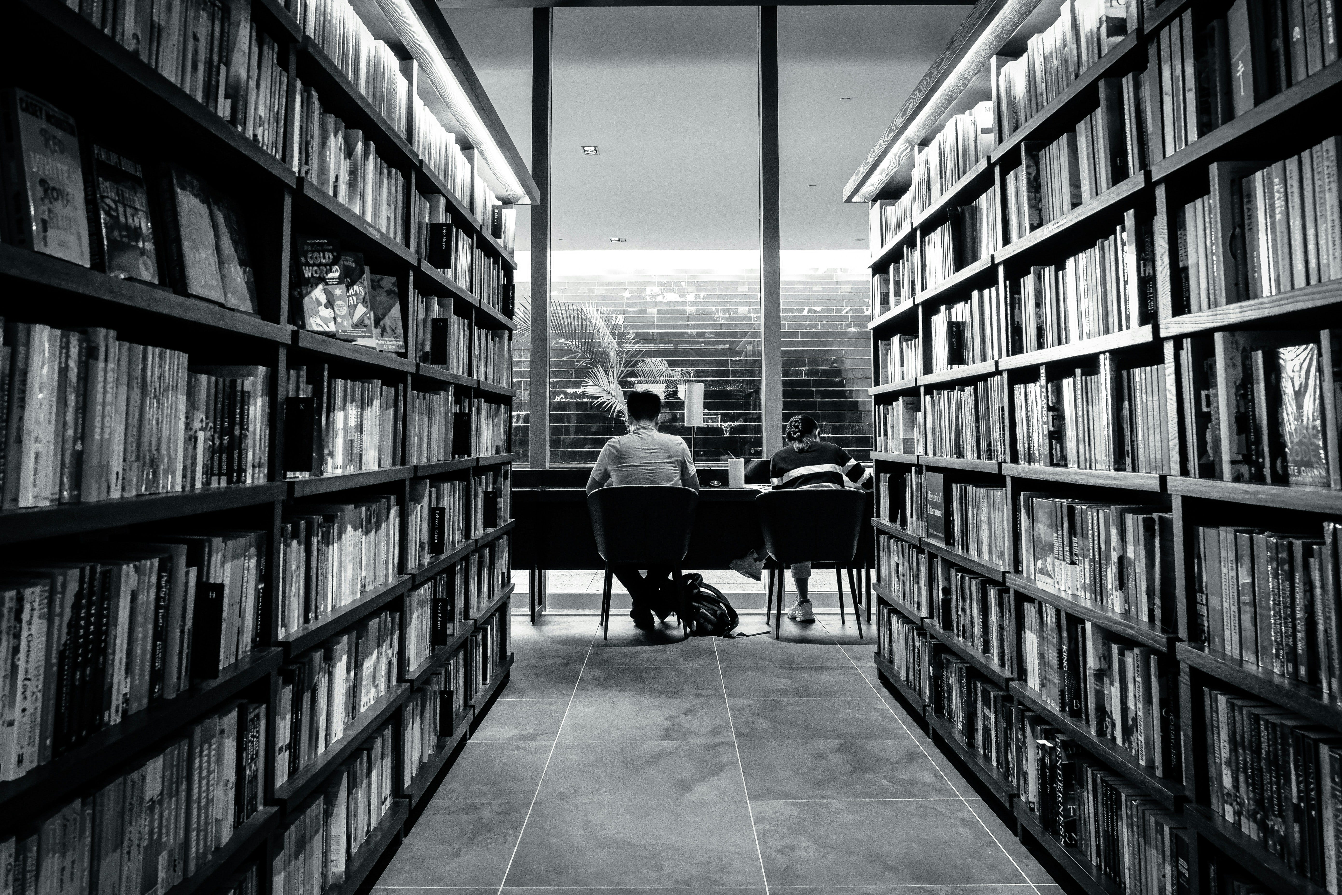 Why Everyone Needs to Think Like a Librarian Now