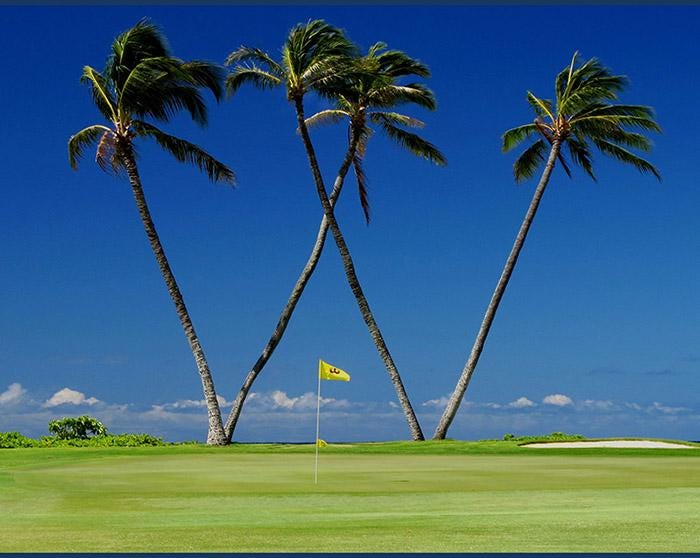 Championship Golf - Waialae Country Club