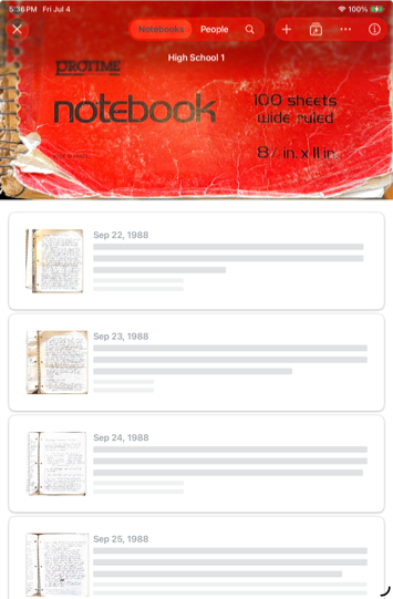 A screenshot of Notebook Index showing how it groups pages into entries.