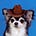 nim's avatar