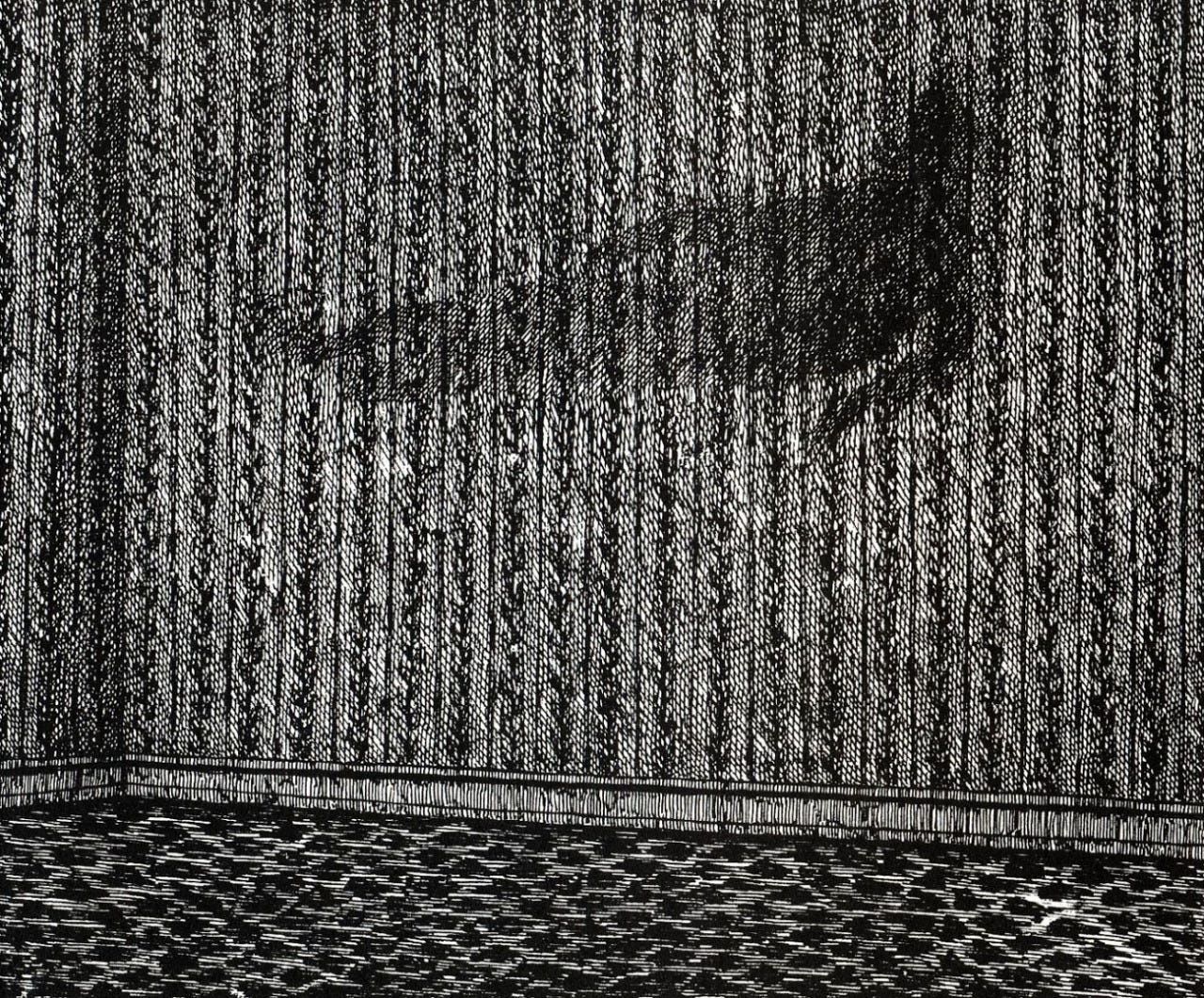 chthonic transmissions — Edward Gorey (1925–2000) - Illustrations from  'The...