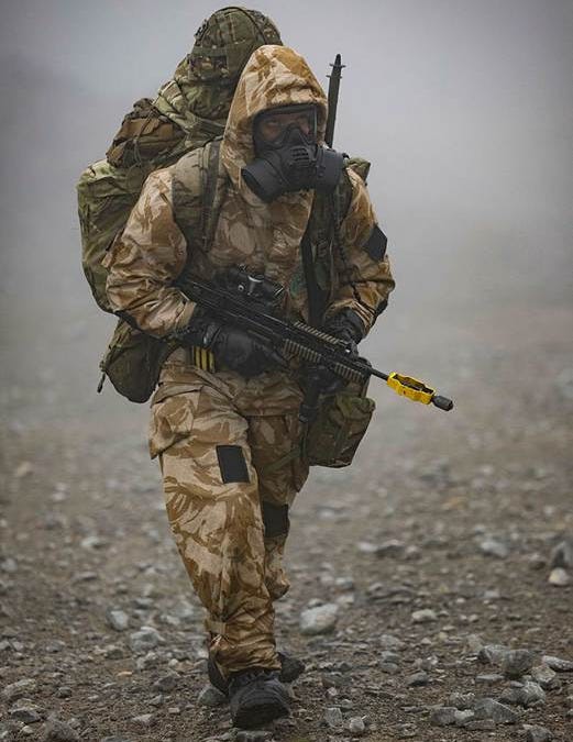 Preview image for asset