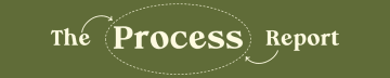 The Process Report