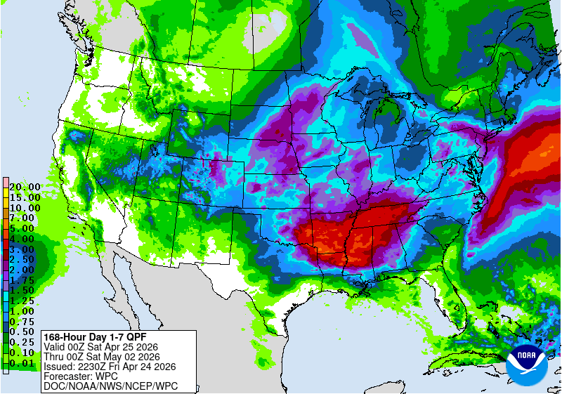 Day 11 image not available