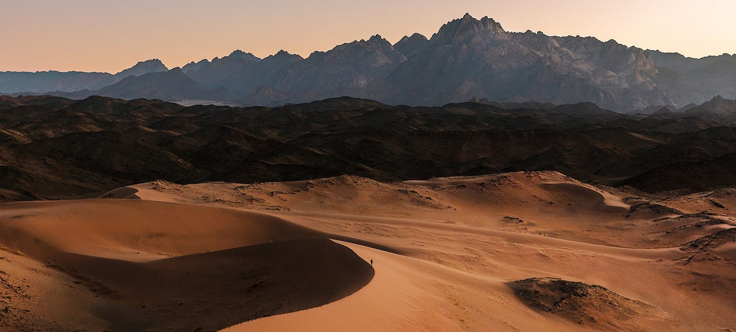 Desert landscape with a mountain in the background Desert landscape with a mountain in the background