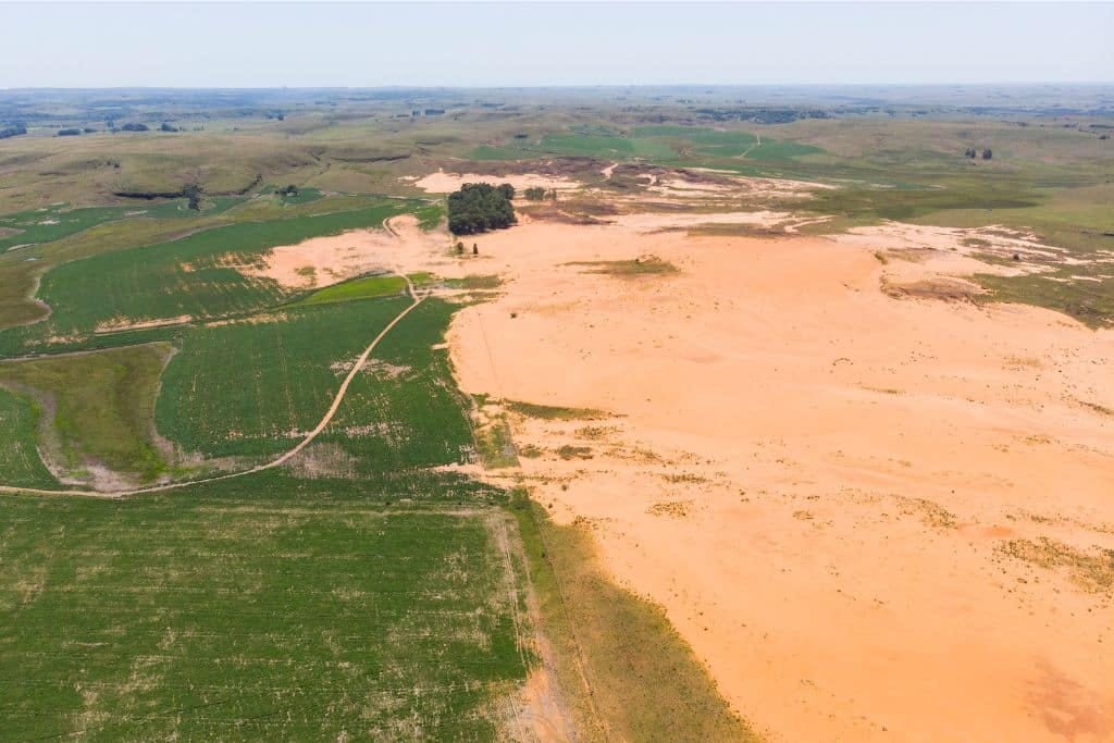 Desertification in Africa: Causes, Effects and Solutions | Earth.Org