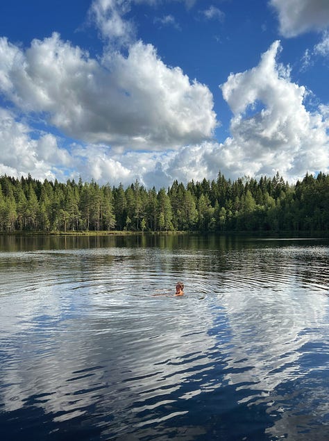 Haukilampi Seitsemisen kansallispuisto