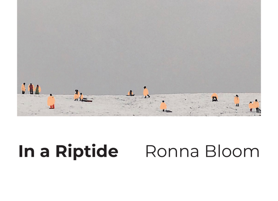  In a Riptide by Ronna Bloom