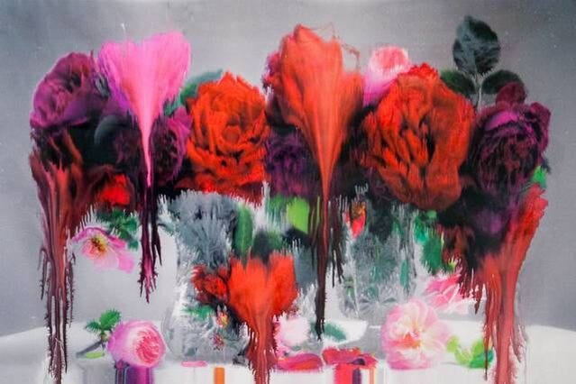 Nick Knight | Dog (horizontal) (2012) | Available for Sale | Artsy