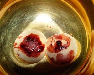 Eucharistic Miracles And Protestants? | Fr. Dwight Longenecker