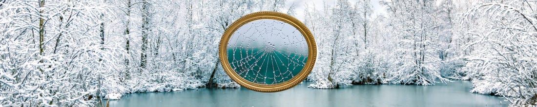 decorative banner. Winter landscape with framed spider web