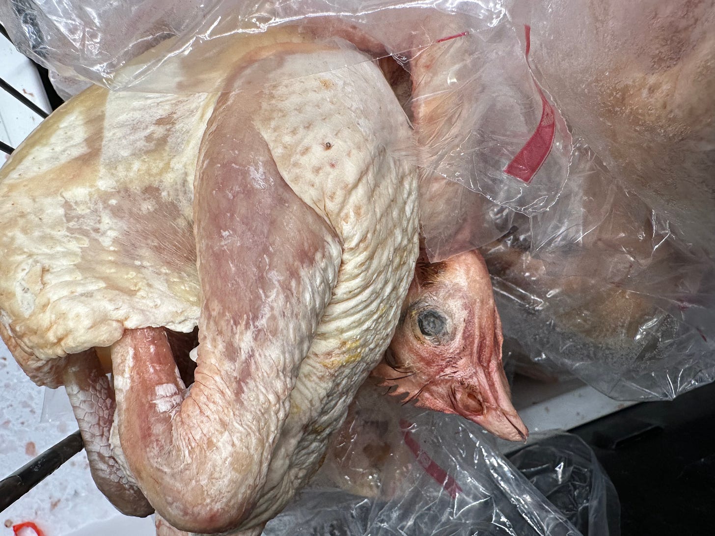 skinned whole chicken in Asian market refrigerator