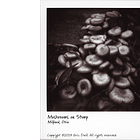 What Happened When I Stepped into the Spotlight