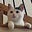 Andie Giddings's avatar