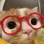 AngryDJ's avatar