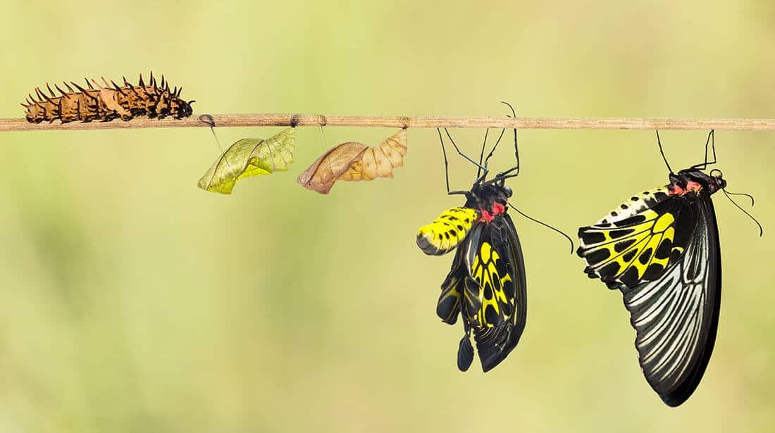 The Power of Change: Self-Transformation and Leading a More Fulfilling Life  in an Uncomplicated Way | WellCome Om Integral Healing & Education Center
