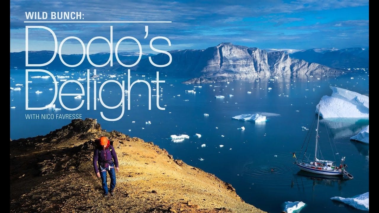 Wild Bunch: Dodo's Delight