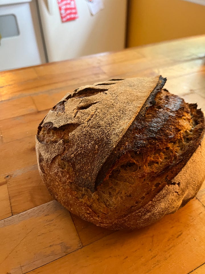 Two round loaves of sourdough bread cooling on my counter. The one on the left is a caraway rye with a darker crust and a pleasing long expansion gash along the top. the loaf on the right is a white bread with som pretty leaves cut into the top