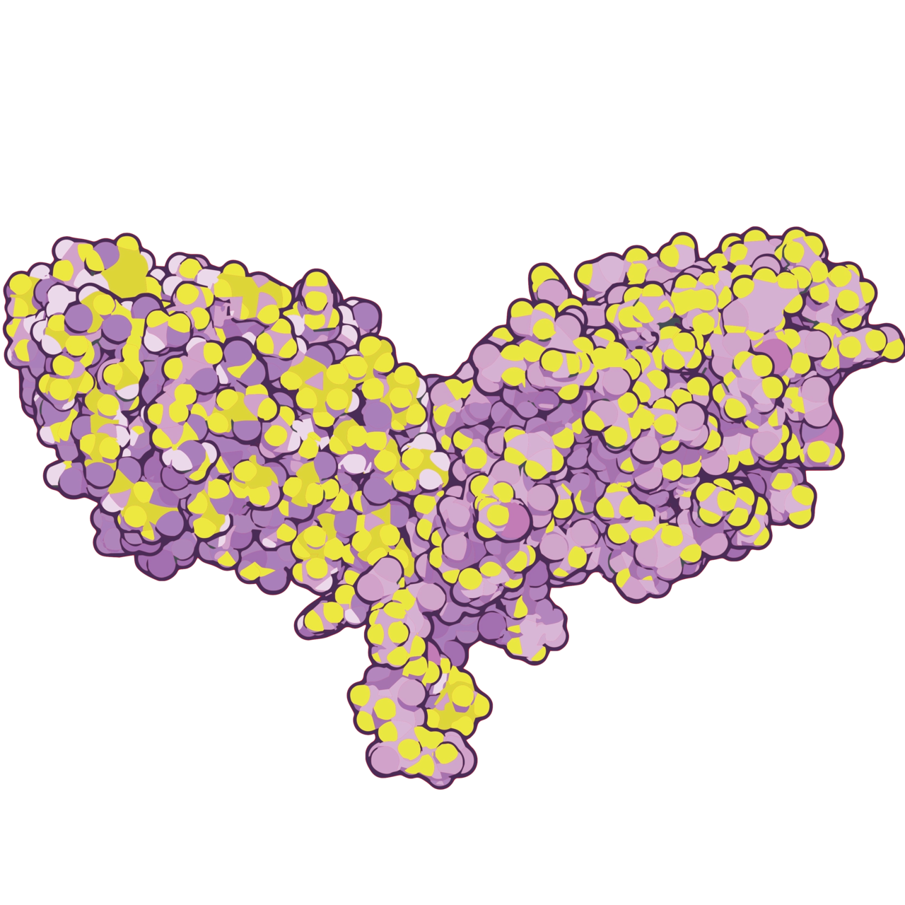 Happy Warrior by Seth Bannon