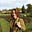 Birgit's avatar