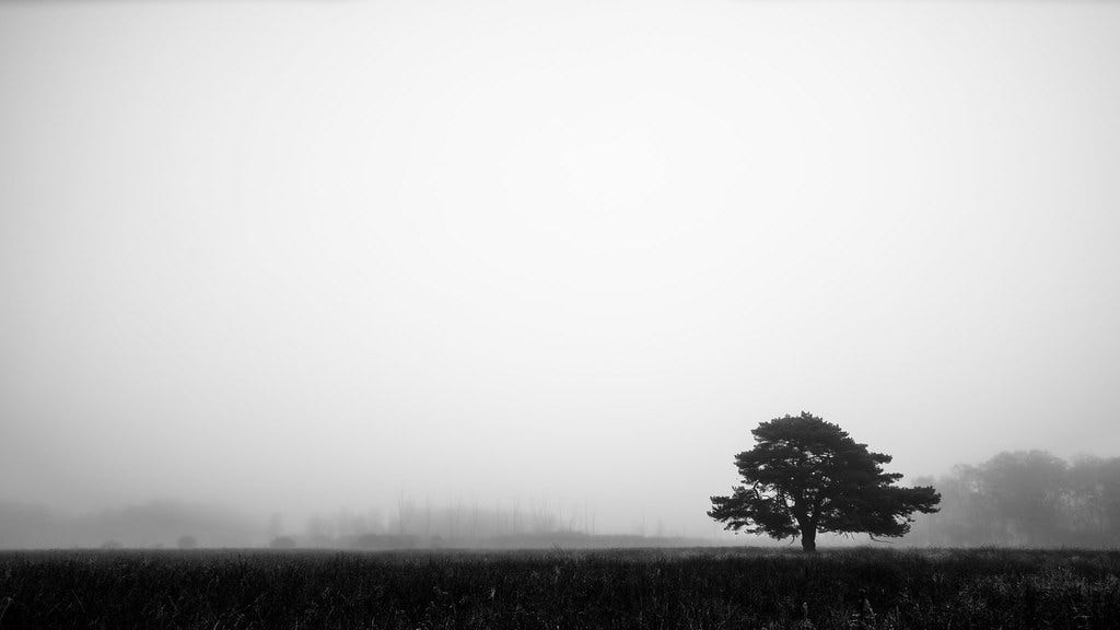 Negative Space: Less is More
