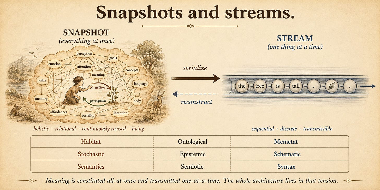 A diagram split into two linked halves. The left half, "SNAPSHOT (everything at once)," is a richly interconnected web of nodes all present simultaneously, with a small embodied figure nested inside it coupled to the world by looping arrows; annotated "holistic, relational, continuously revised, living." The right half, "STREAM (one thing at a time)," is a single straight channel along which discrete tokens travel in sequence; annotated "sequential, discrete, transmissible." A bold arrow between them reads "serialize," a fainter return arrow reads "reconstruct." Below, a three-row table aligns the asymmetry: Ontological — Habitat / Memetat; Epistemic — Stochastic / Schematic; Semiotic — Semantics / Syntax.