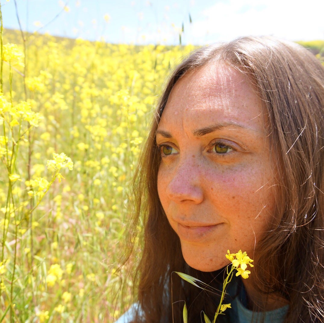 The Wildflower Memos