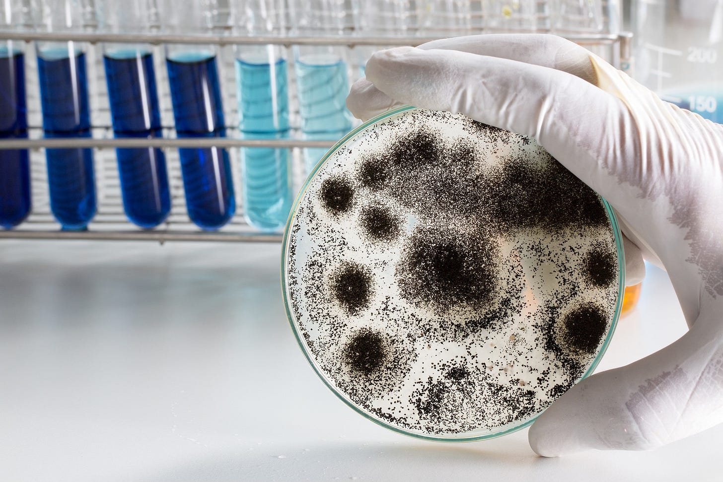 glutathione and mold Detox From Mold with Glutathione main image 0
