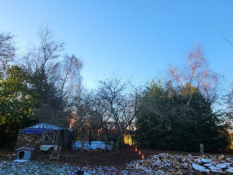 Former dog run ('Guantanamo') converted for log storage, with extended canvas roof protecting wood from rain. First picture shows Guantanamo from outside, with much reduced woodpile of split wood awaiting storage. Also, some remaining ash tree rings yet to be split. Big, beautiful, blue November sky, with morning frost on the grass, with trees and bushes mid-picture. Second photo shows 'Guantanamo' half filled with logs, the extension to the roof yet to be fitted. Third picture shows completed 'Guantanamo' filled with split logs and the extension of the canvas roof in place.