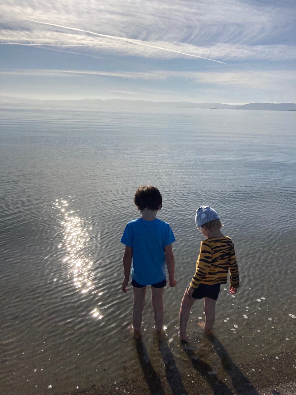 A photo taken from the back of two boys standing in shorts, their feet in the waters of the ocean. A hazy blue horizon is visible in the distance.